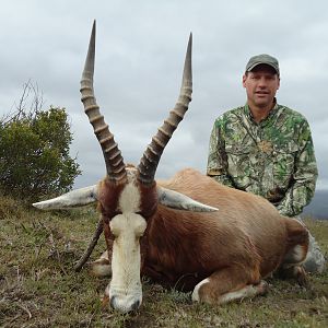 Hunting Blesbok South Africa