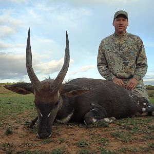 Bushbuck  Hunting South Africa