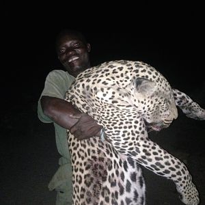 Leopard Zaimbabwe Hunt