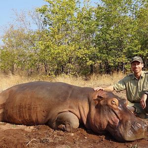 Hippo Hunt In Zimbabwe