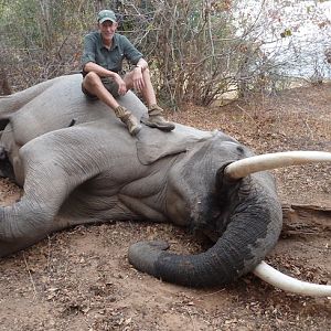 Zimbabwe Hunting Elephant