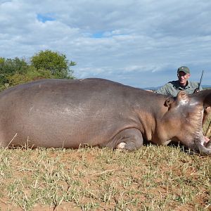 Hippo Hunt In Zimbabwe