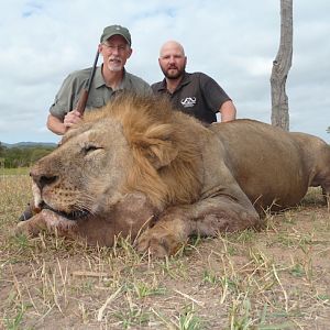 Hunting Lion Zimbabwe
