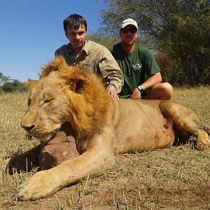 Hunting Lion in Zimbabwe