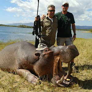 Zimbabwe Hippo Hunt