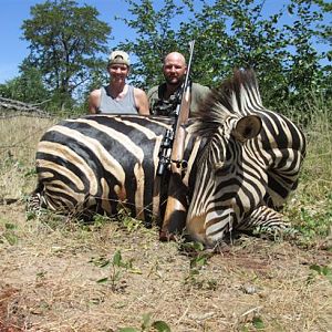 Hunt Zebra in Zimbabwe