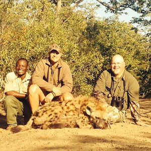 Spotted Hyena Zimbabwe Hunt
