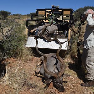 Hunting Kudu Nambia