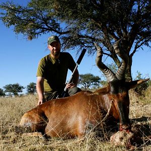 Red Hartebeest Hunt Namibia