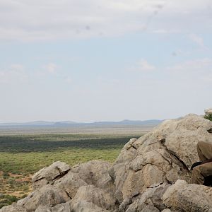 Guide Namibia Viewing