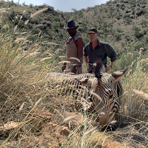 Hunt Zebra in Namibia