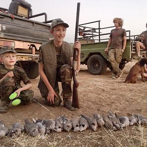 Dove Hunting Namibia