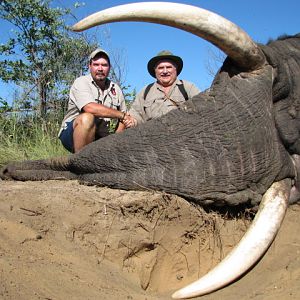 South Africa Hunting Elephant