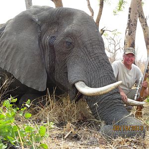 Elephant South Africa Hunt