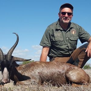 Black Springbok South Africa Hunt