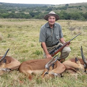 Cull Hunting Impala South Africa