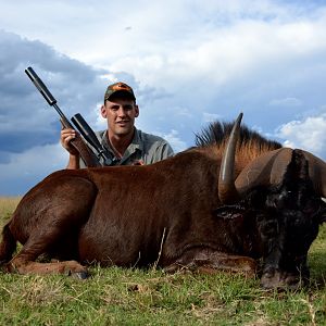 Hunt Black Wildebeest South Africa