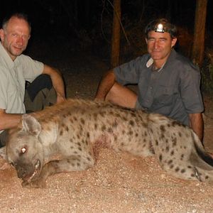 South Africa Spotted Hyena Hunt