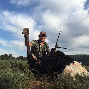 South Africa Ostrich Hunt
