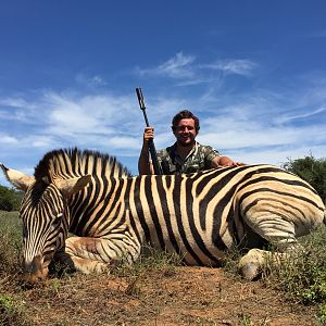 Hunt Zebra in South Africa