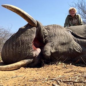 Hunting Zimbabwe Elephant