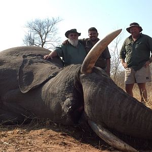 Hunting Elephant Zimbabwe
