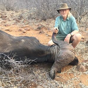 Zimbabwe Cape Buffalo Hunt