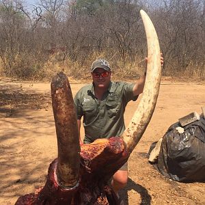 Hunting Zimbabwe Elephant
