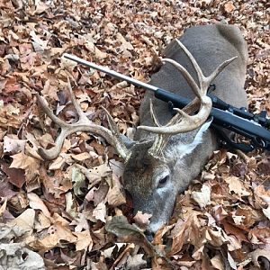 PA Public land whitetail