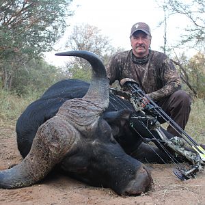 Cape Buffalo Bowhunt South Africa