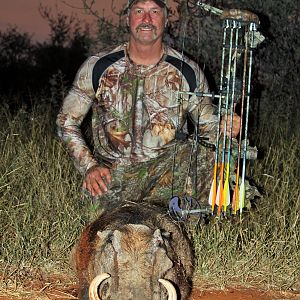 Warthog South Africa  Bow Hunting