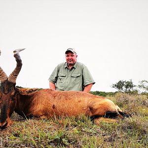 Red Hartebeest Hunt South Africa