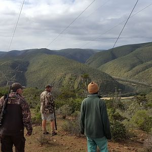 Hunting South Africa