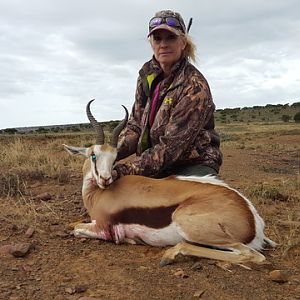 Springbok Hunting South Africa