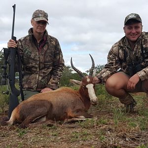 Hunting Blesbok South Africa