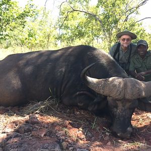 Cape Buffalo Hunt Zimbabwe