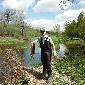 Bow Fishing Carp