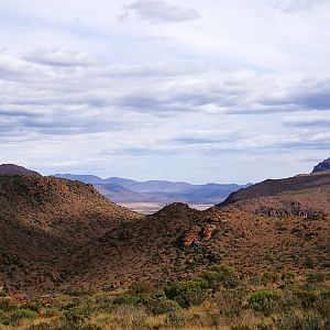 Nature South Africa