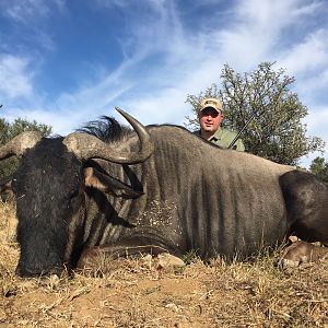 South Africa Blue Wildebeest Hunting