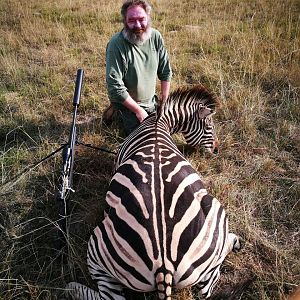 South Africa Burchell's Plain Zebra Hunting