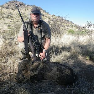 Javelina Hunting USA