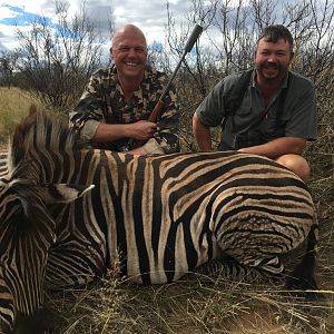 South Africa Burchell's Plain Zebra Hunting