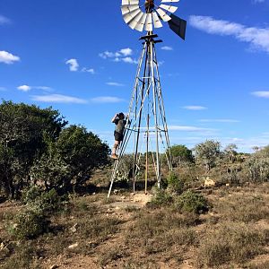 South Africa Hunting