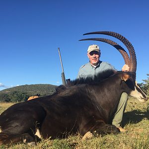 Sable Hunting South Africa