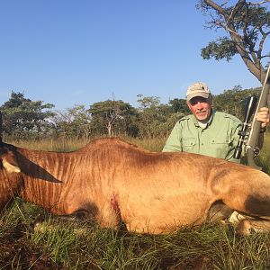 Red Hartebeest Hunting in South Africa