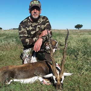 Hunt Blackbuck