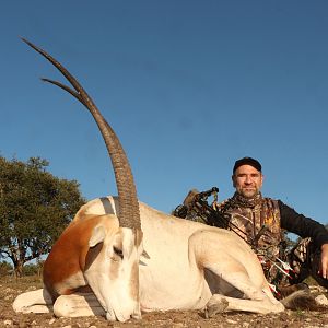 exótico in Texas Scimitar Oryx Hunt