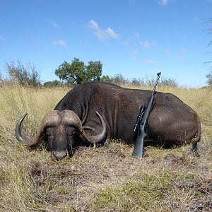 Buffalo Huntig South Africa