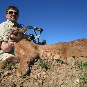 Caracal Bow Hunt South Africa