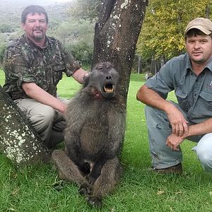 South Africa Baboon Hunt